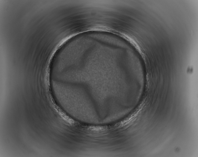 X0000099470931200805301553