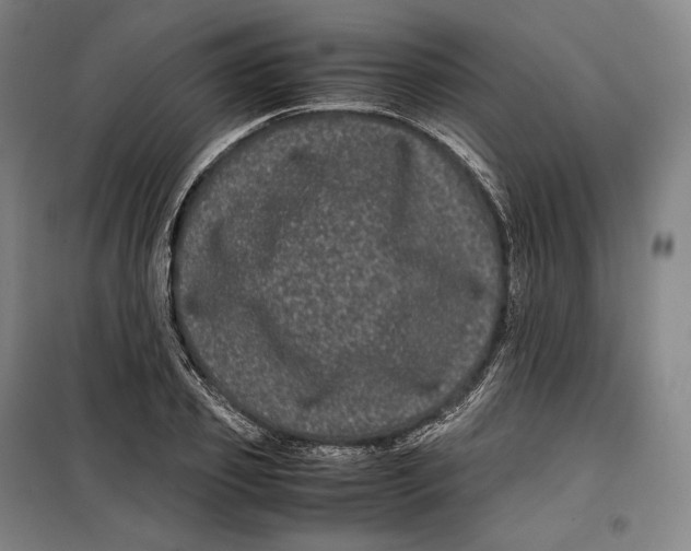 X0000099470933200805301553