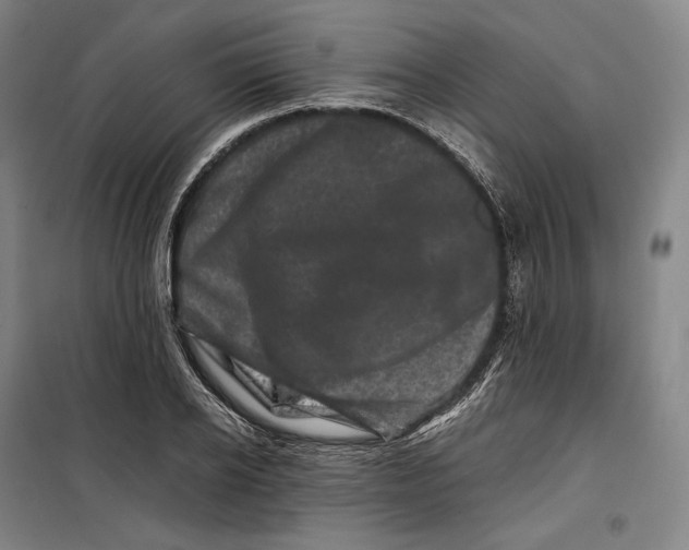 X0000099470934200805301553