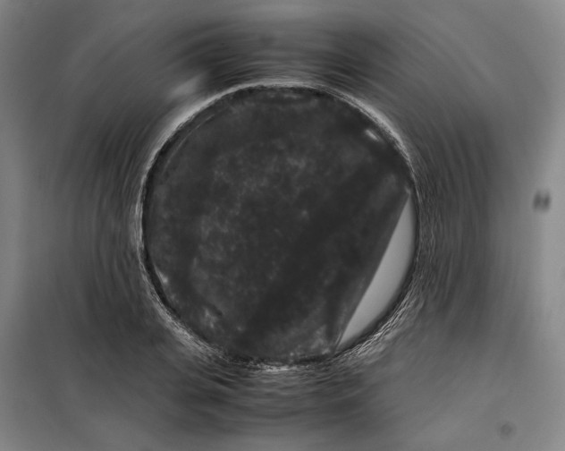 X0000099470935200805301553