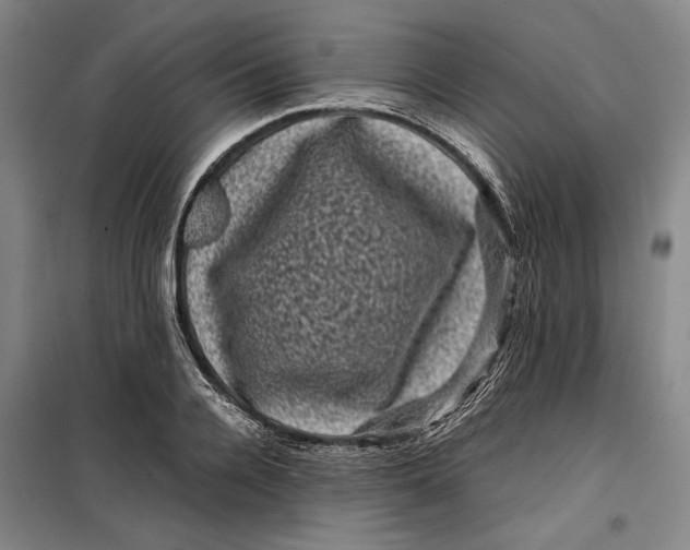 X0000099470936200805301553