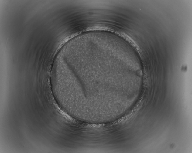 X0000099470937200805301553