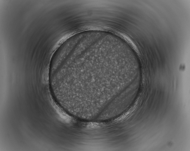 X0000099470938200805301553