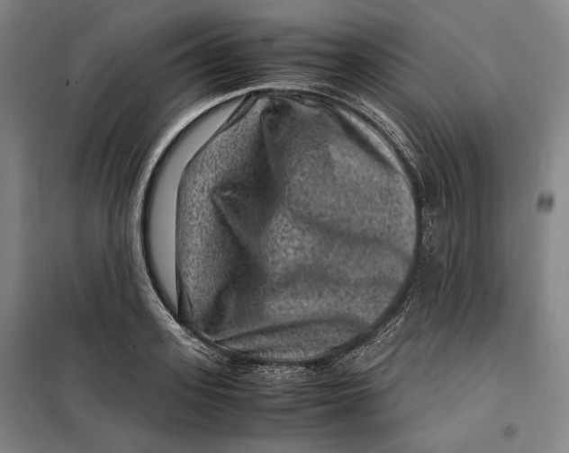 X0000099470939200805301553