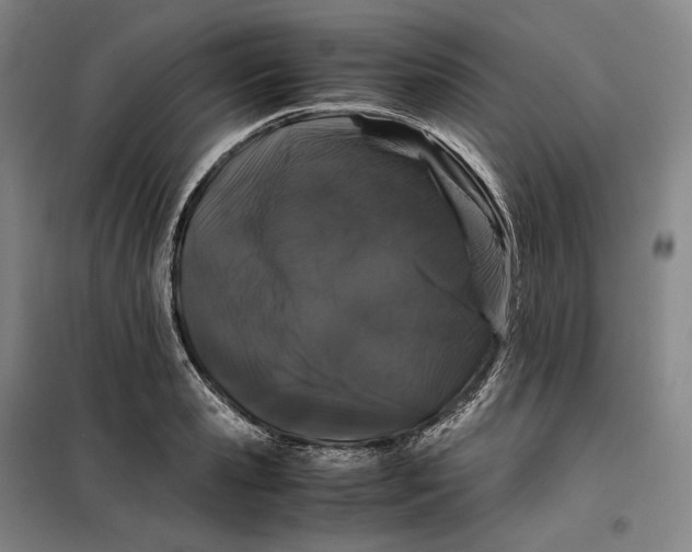 X0000099470941200805301553