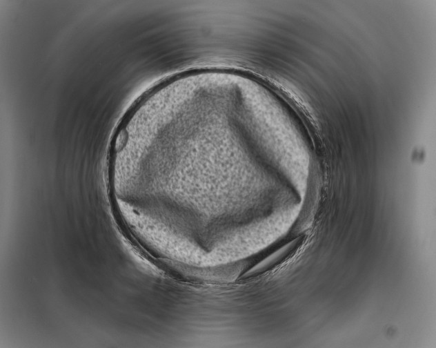 X0000099470942200805301553