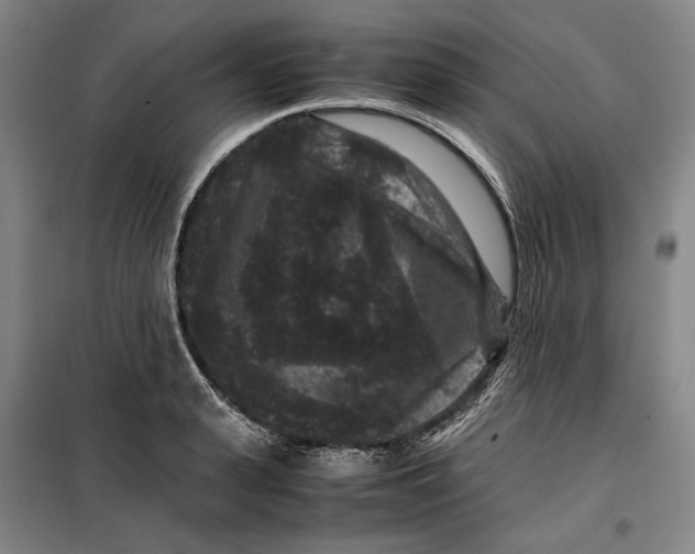 X0000099470943200805301553