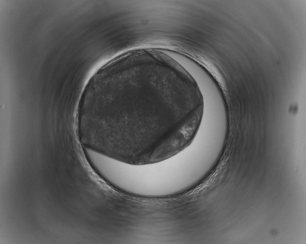 X0000099470944200805301553