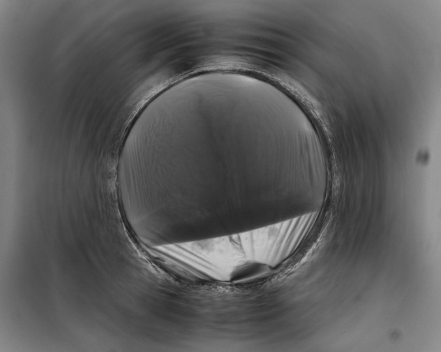 X0000099470945200805301553