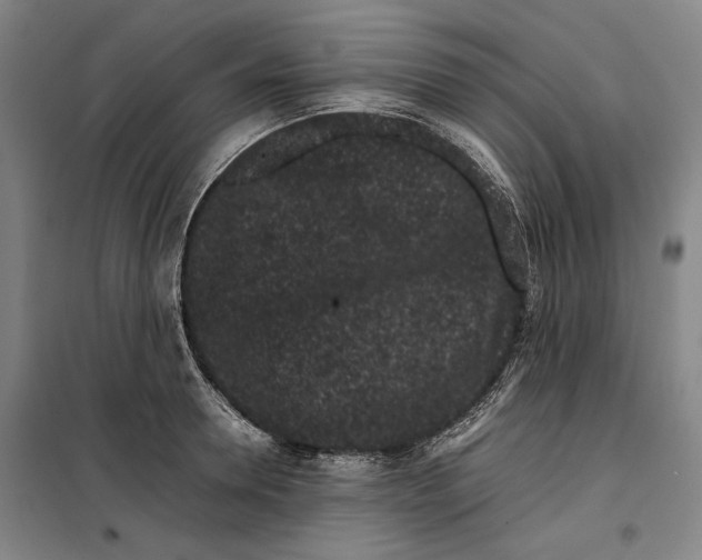 X0000099470946200805301553