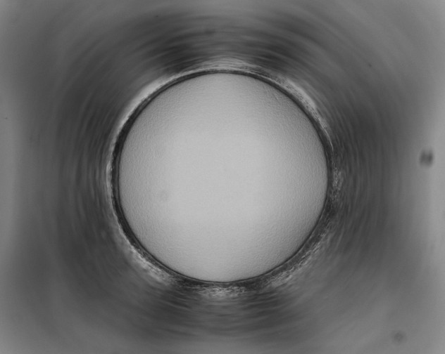 X0000099470947200805301553