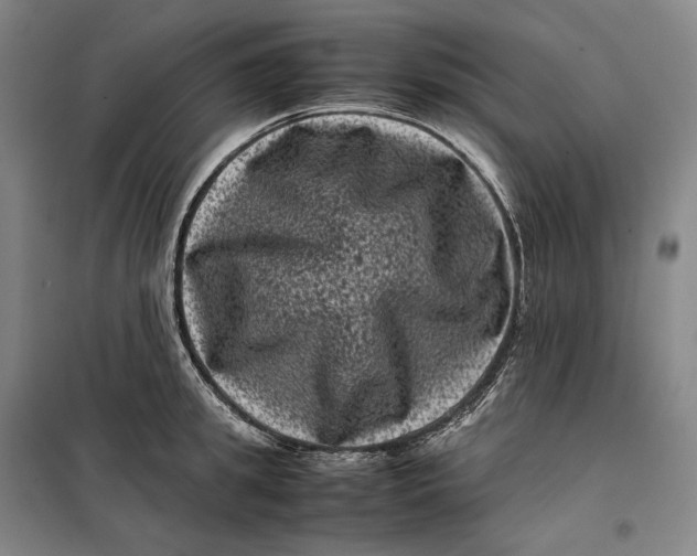 X0000099470949200805301553