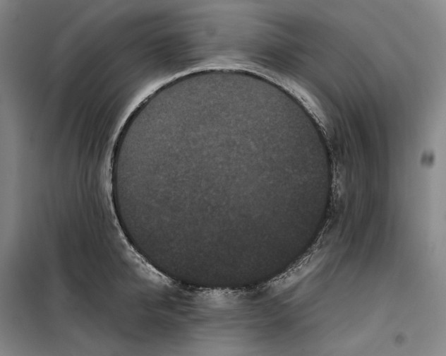 X0000099470950200805301553