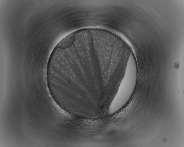 X0000099470951200805301553