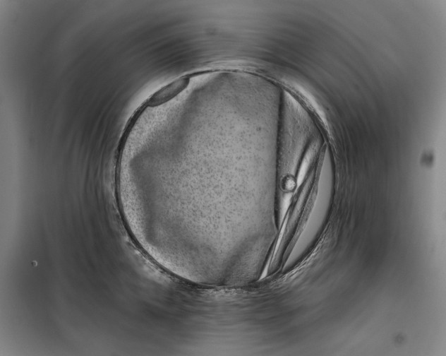 X0000099470952200805301553