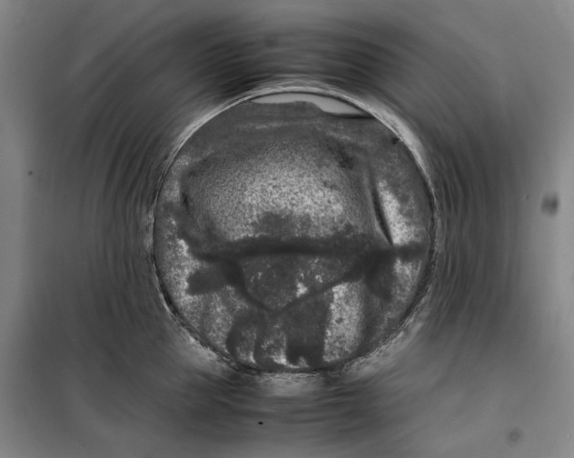 X0000099470953200805301553