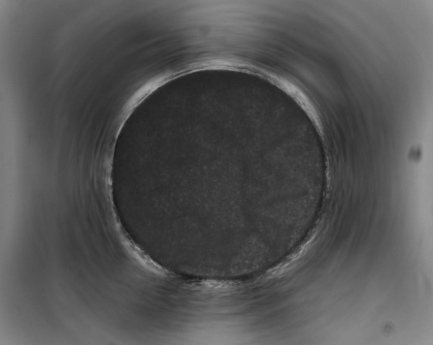 X0000099470954200805301553