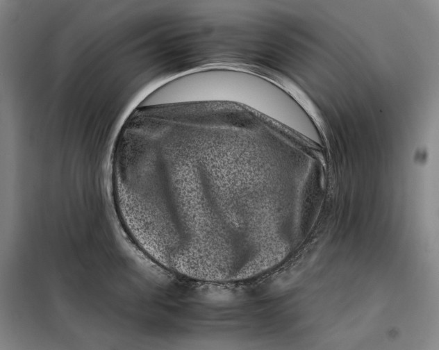 X0000099470955200805301553