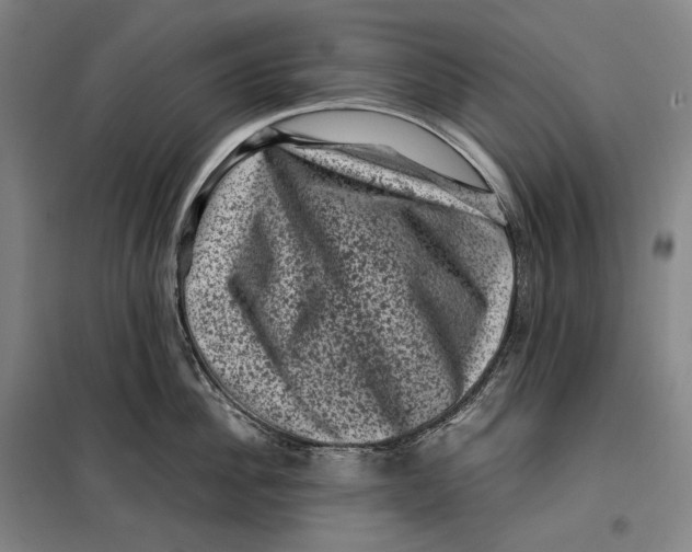 X0000099470956200805301553