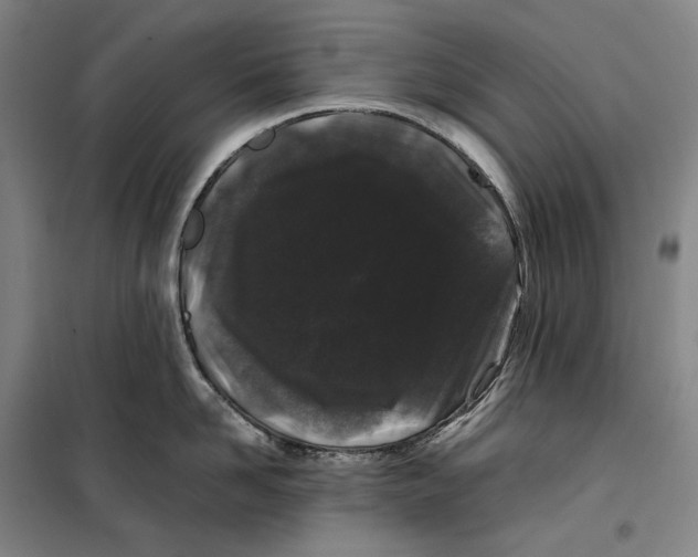 X0000099470958200805301553