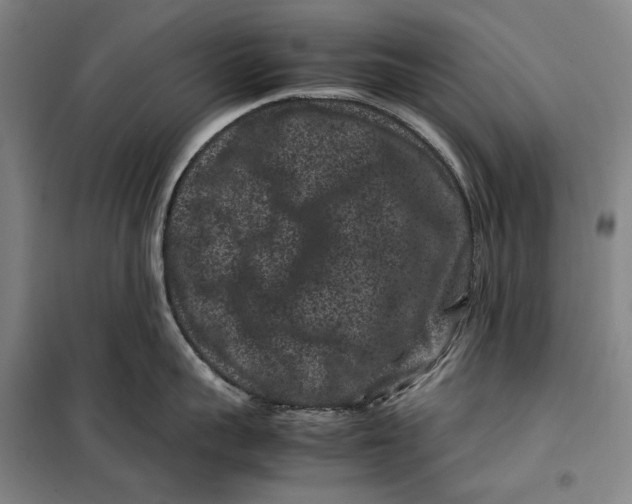 X0000099470959200805301553