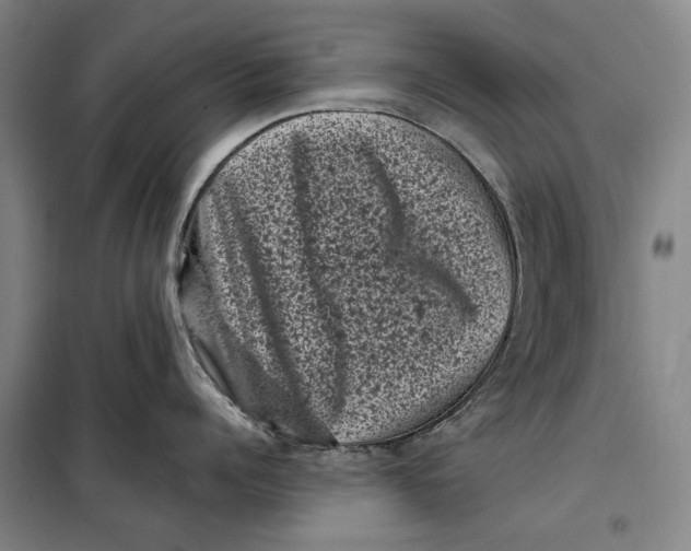 X0000099470960200805301553