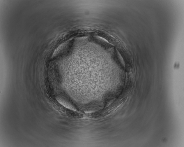 X0000099470961200805301553