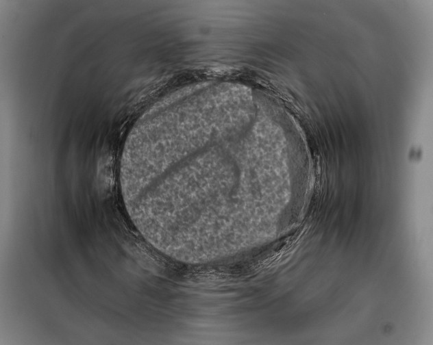 X0000099470962200805301553