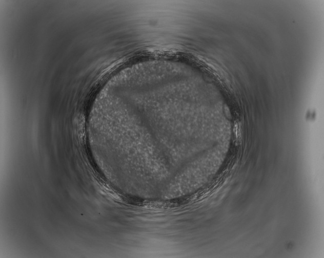 X0000099470963200805301553