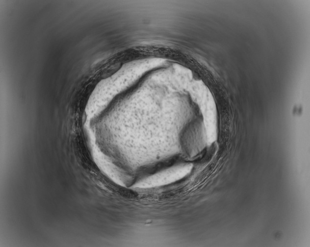 X0000099470965200805301553