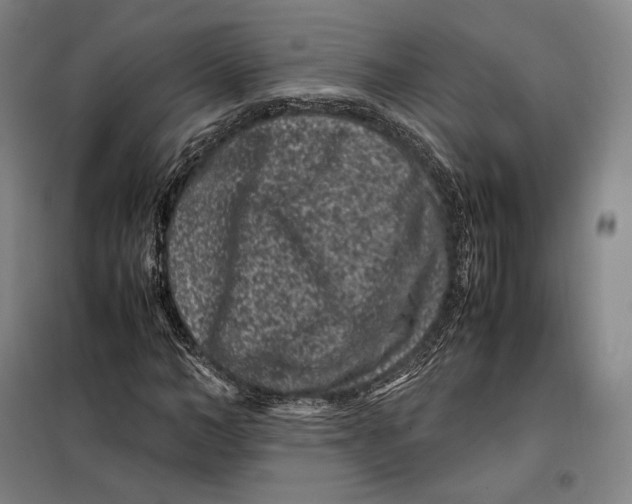 X0000099470966200805301553