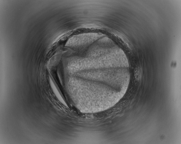 X0000099470968200805301553