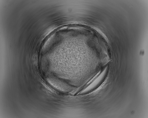 X0000099470969200805301553