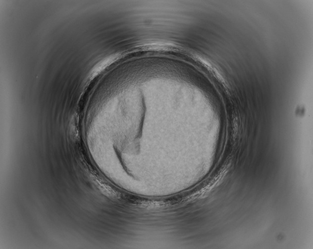 X0000099470970200805301553