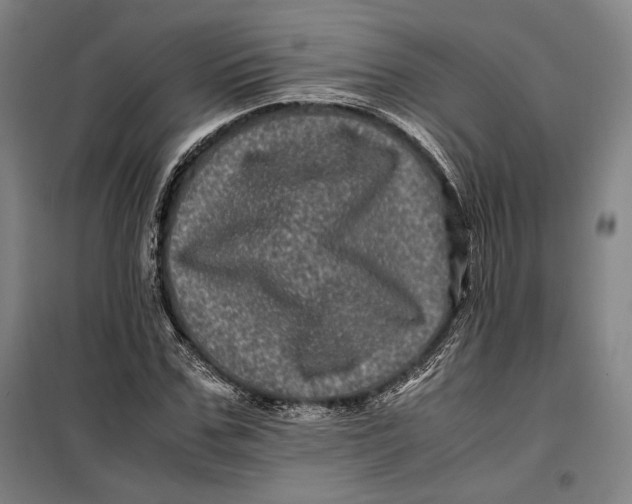 X0000099470971200805301553