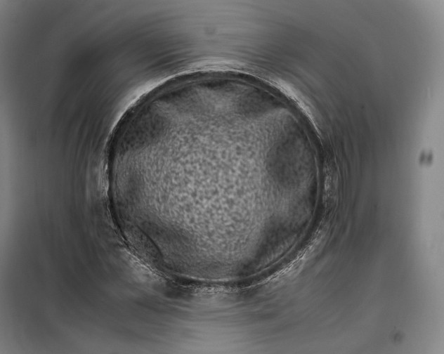 X0000099470973200805301553