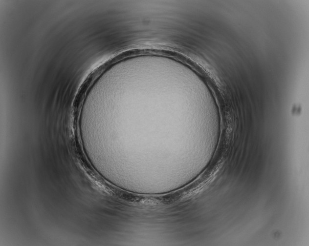 X0000099470974200805301553