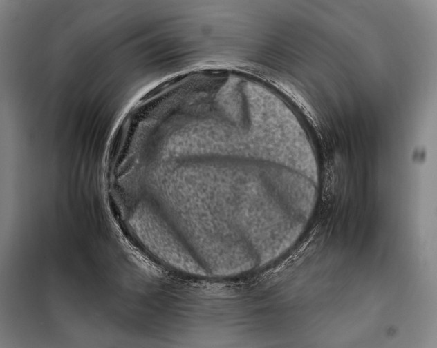 X0000099470976200805301553