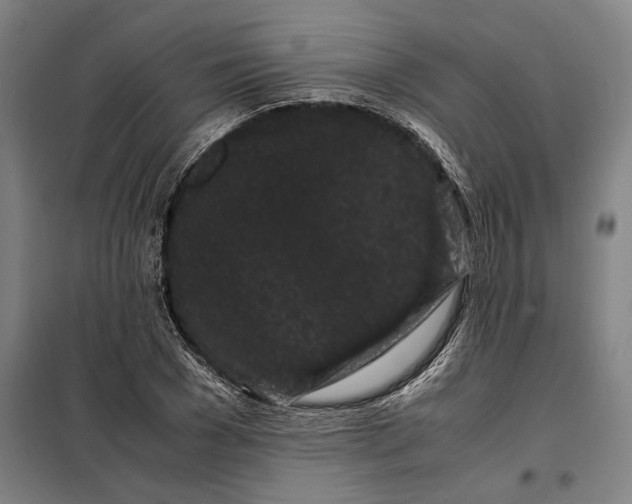 X0000099470977200805301553