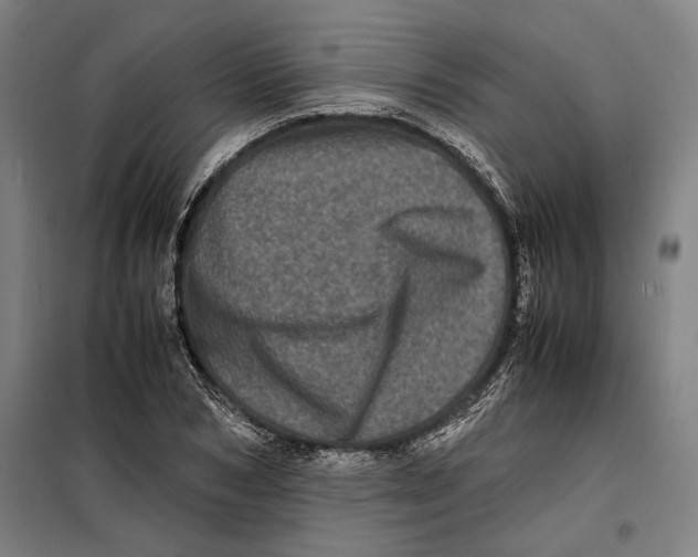 X0000099470978200805301553