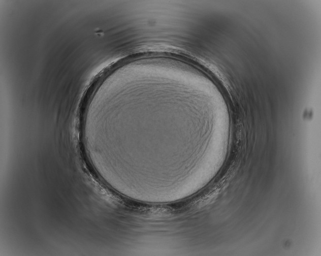 X0000099470979200805301553