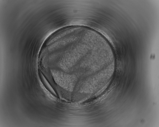 X0000099470980200805301552