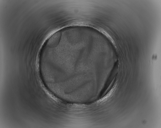 X0000099470981200805301552