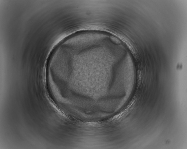 X0000099470982200805301552