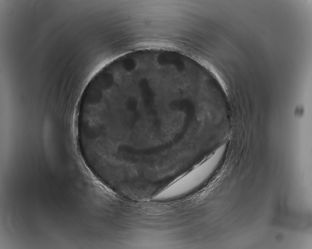 X0000099470983200805301552