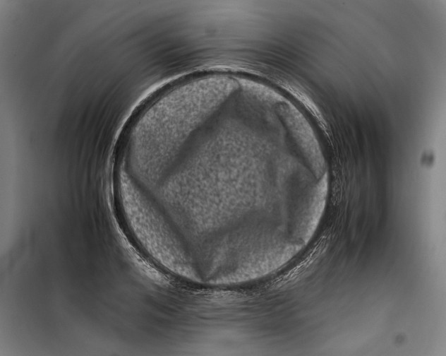 X0000099470984200805301552