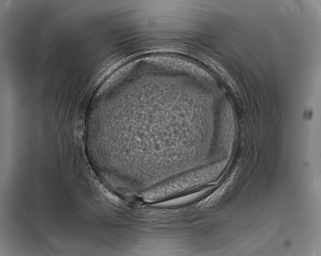 X0000099470985200805301552