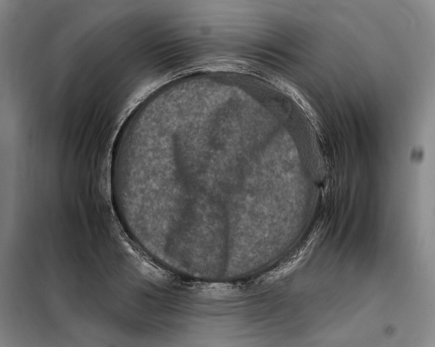 X0000099470986200805301552