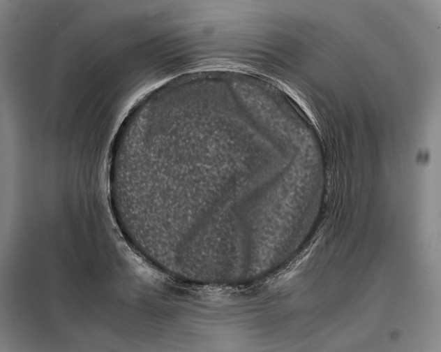 X0000099470987200805301552