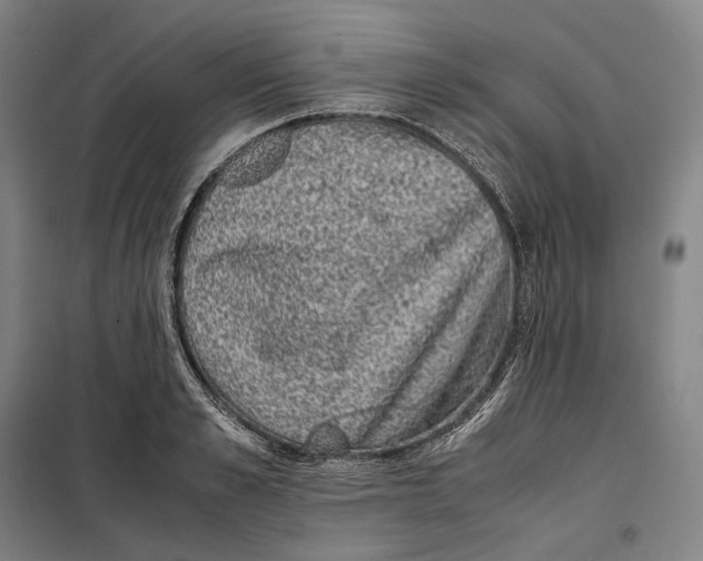 X0000099470989200805301552